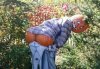 pumpkin-scarecrow-mooning[1].jpg
