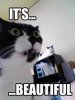 awesomecat.jpg