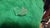 IMG_20190619_015910507.jpg