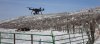 UAV and Livestock.jpg