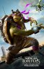 TMNTSolo.jpg