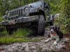 Bella Jeep.jpg