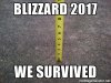 blizzard-2017-we-survived.jpg