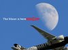 Watch the moon.jpg