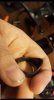 Screenshot_20190101-173508_Facebook.jpeg