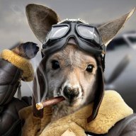 Flying_Kangaroo